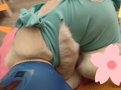 -伟伟宠物医院·CT影像中心·瑞派犬猫综合性门诊(汉口总院)