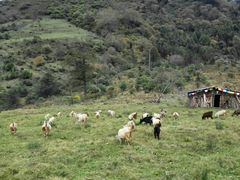 -硗碛藏寨·神木垒景区