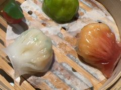 -点都德·毕德寮