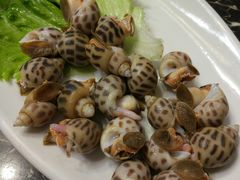 花螺（半斤）-蔚海之都·象山蒸汽海鲜(仙霞路店)