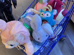 -PAWTOY爪e玩偶店(天兴罗斯福店)