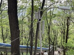 -帽儿山风景区