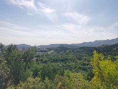 -白水寺森林公园