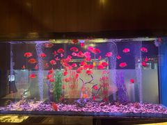 -九洲喜来登酒店湖月日餐厅