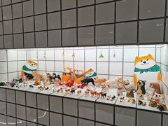 -柴务处·柴犬主题狗咖