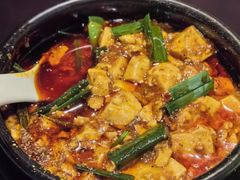 -陈麻婆豆腐总店