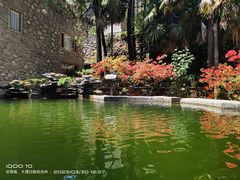 -寂照庵