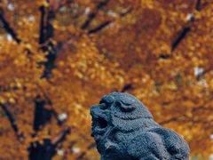 -北京石刻艺术博物馆(五塔寺)