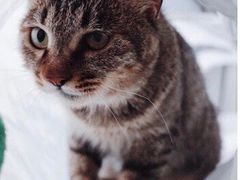 -中农大我爱我爱24h动物医院·中医针灸·猫专科·骨科医疗中心(双井店)