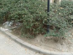 -崔和平肉夹馍(三原总店)