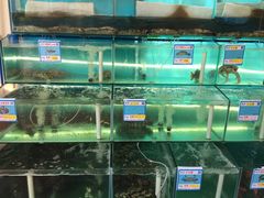 水产区-琼大师东方烤乳猪(亚特兰蒂斯店)