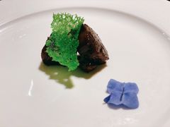 -诺莱仕游艇会
