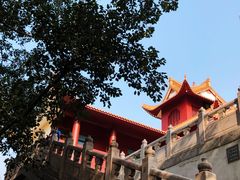 -深圳仙湖植物园