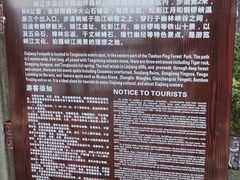 -铁山坪森林公园