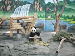 -秦皇岛野生动物园