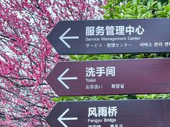 -洋湖国家湿地公园
