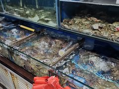 水产区-张树军海鲜(王府壹号店)