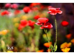 -共青国家森林公园-售票处