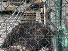 -北京鹿世界主题园