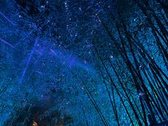 -扬州东关街文昌阁桔子水晶酒店