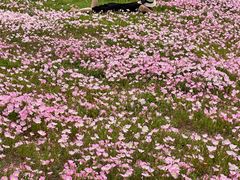 -汉长安城未央宫国家考古遗址公园