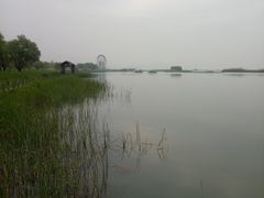 -太湖湖滨国家湿地公园-停车场