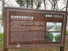 -洋湖国家湿地公园