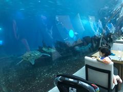 -海棠湾洲际-涛·海底餐厅·美人鱼·自助餐·海底隧道