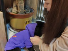 -精灵岛宠物生活馆(洪泽花园店)