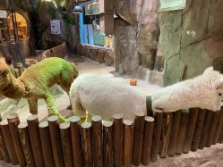 -宝燕乐园(闵行旗舰店)