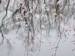-颐和园
