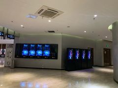 -大光明新国际影城(青浦吾悦店)