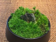 -溪畔•新徽菜(碧湖云溪店)