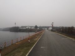 -大塘金香草谷