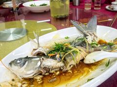 -南沙辉记烧鸡·荔枝木炭火吊烧(旧镇店)