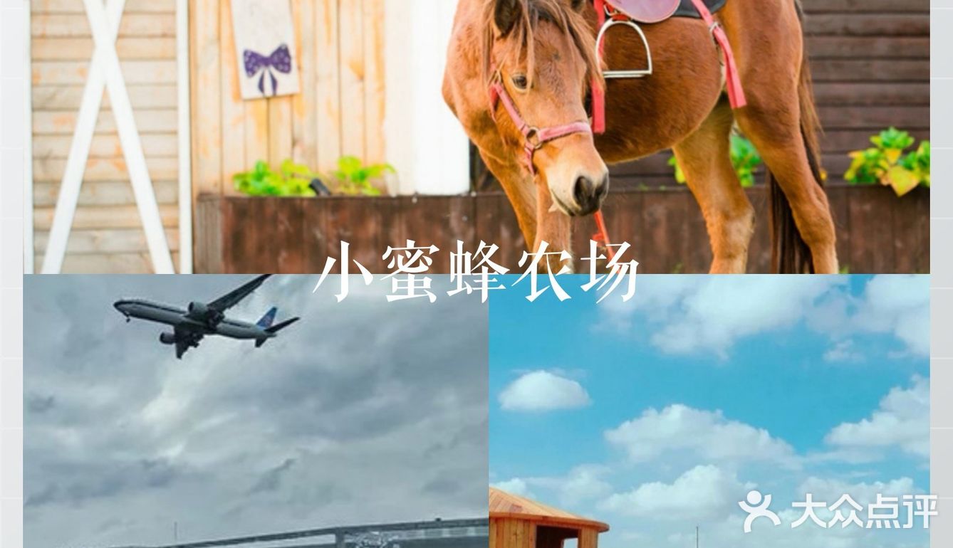 嘿，去农场玩玩吗？ 天朗气清，惠风和畅