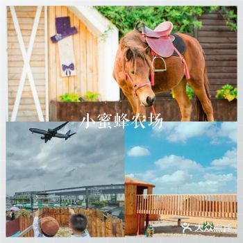 嘿，去农场玩玩吗？ 天朗气清，惠风和畅