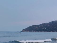 -广东惠东海龟国家级自然保护区