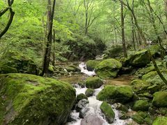 -牛背梁国家森林公园