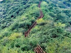 -大岭沟猕猴桃谷风景区