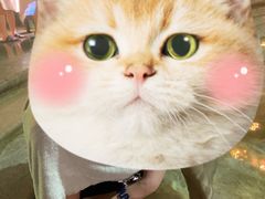 -青城道汤池