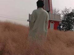 -羊亭河湿地公园