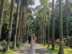 -华南国家植物园-售票处