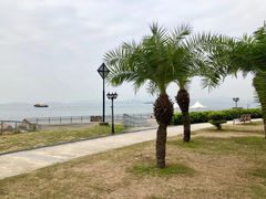 -香港大学