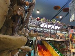 -卡通尼·Safari非洲探索乐园·生日会(金桥国际商业广场店)
