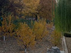 -元大都城垣遗址公园