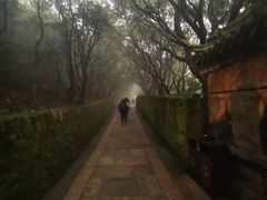 -普陀山风景区-佛顶山