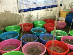 -幸福姐海鲜大排档