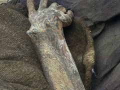 -巴音郭楞蒙古自治州博物馆