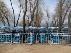 -野鸭湖国家湿地公园